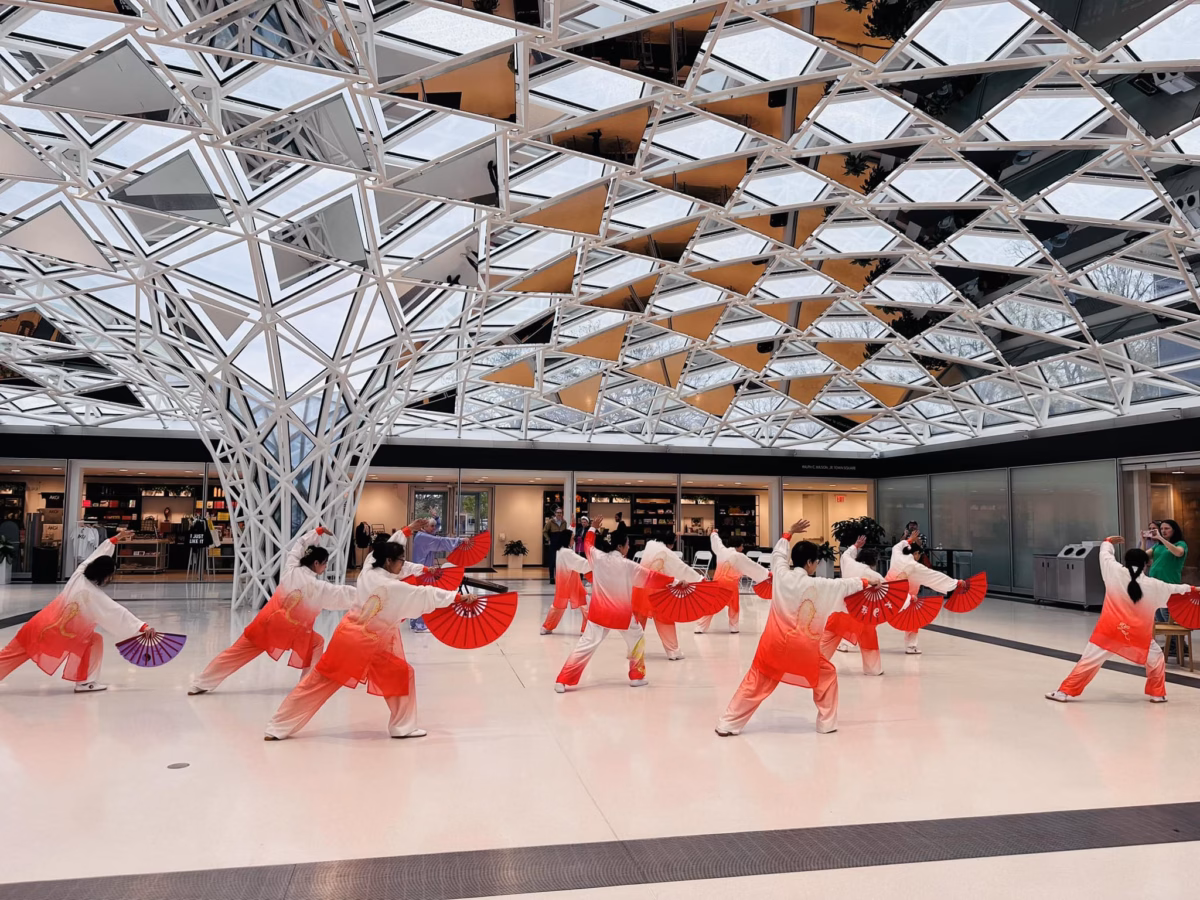 Tai Chi Group at the Buffalo AKG Museum demonstrating a Tai Chi Performance